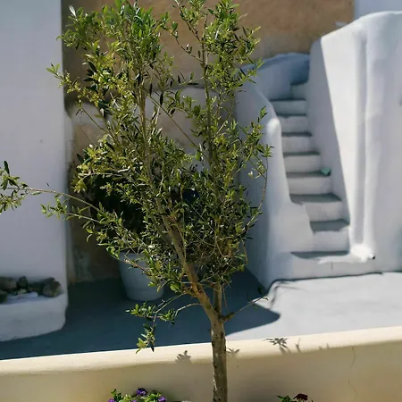 Kastelli * Pyrgos Kallistis